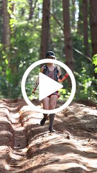 BIB:  <button type="button" onclick="openModal(26569502)" class="btn btn-primary btn-sm float-right" data-toggle="modal" data-target=".modal-high-quality">
                <i class="fa fa-download"></i> Download
                </button>